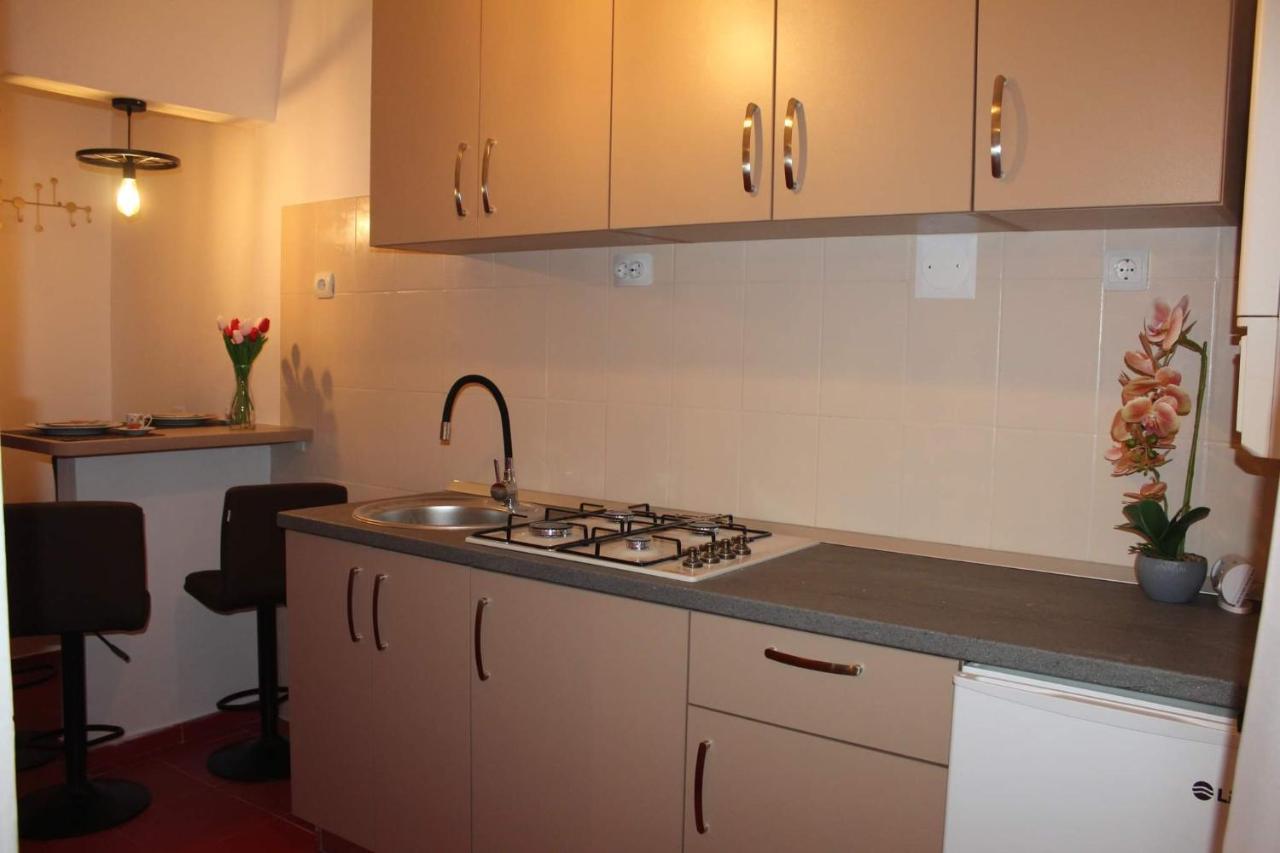 Apartament Dania & Petru Lejlighed Tîrgu Ocna Eksteriør billede